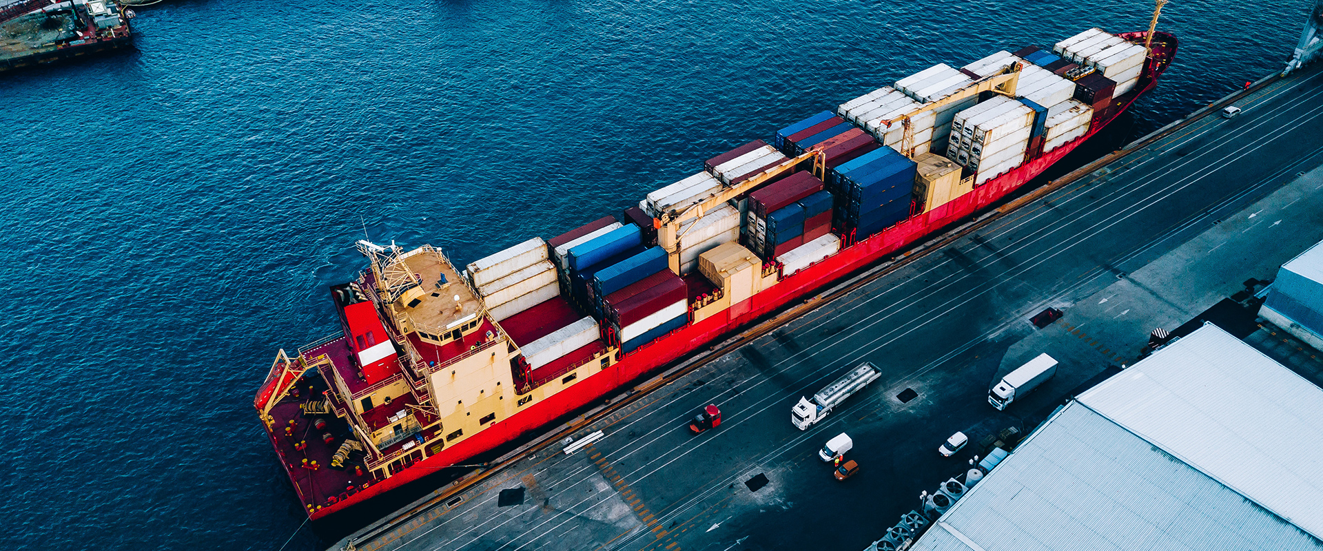 Couple on a bed with a dog